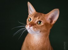 IMG_0004.jpg