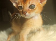 IMG_20250221_121012.jpg