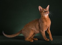 IMG_9982.jpg